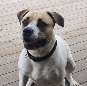 Meet your Posher, Leanne